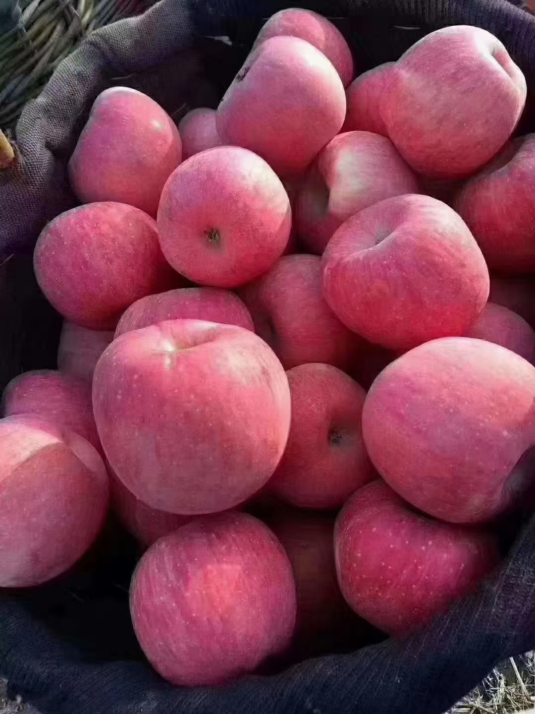 红富士苹果【优选】陕西精品苹果产地直发新鲜当季苹果包邮水果